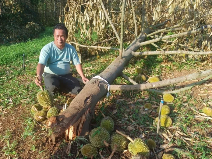 THIỆT HẠI NẶNG NỀ
